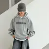 Sudadera para niño para primavera y otoño 2026 nuevo modelo camiseta de otoño de manga larga para niños mayores, elegante y genial para niños en otoño