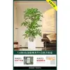 Planta en Maceta de Piso Nandina Domestica, Planta Verde Artificial Grande para Interiores, Decoración de Lujo Ligero para Sala de Estar, Árbol Artificial