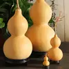 Calabazas Naturales con Asas Disponibles en Stock, Tamaños Grande, Mediano y Pequeño para Fines Decorativos, Calabazas Pequeñas para Girar con la Mano y Jugar