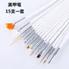 15 Pincéis para Iniciantes em Nail Art, Canetas para Desenho de Linhas, Canetas de Flores, Canetas para Pintura com Pontos de Diamante, Conjunto de Canetas Gradientes em Forma de Leque para Fototerapia