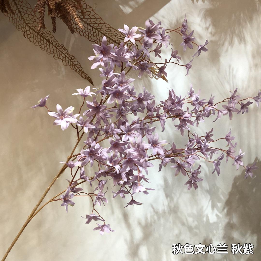 微信图片_20200805174819.jpg
