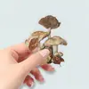 50 Piezas de Pegatinas Transparentes de Plantas Secas, Especímenes Florales Realistas y Pegatinas Decorativas de Mascotas Impermeables para Diarios