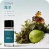 Aromaterapia para Coche Tipo Salida de Aire Aceite Esencial Aromático Perfume para Coche Exclusivo Transfronterizo Estilo Caliente de Amazon 12 Sabores