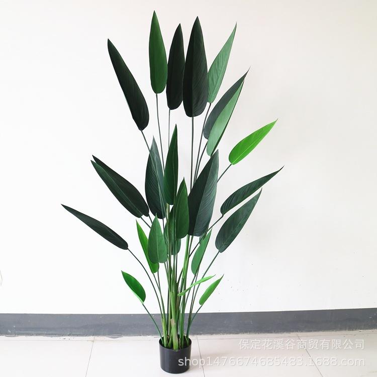 水美人-6尺 192元_副本.jpg