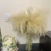 Flores de Caña Secas Ins Estilo Nórdico Flores Eternas Hierba de la Pampa Amazon Venta Caliente al por Mayor Ramo de Flores Estilo Ins Plantas