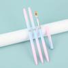 Set de 14 piezas de bolígrafos de manicura degradados azul y rosa para puntos de venta transfronterizos, set de 14 piezas, pintado, línea de arrastre, difuminado, bolígrafo de fototerapia, herramientas de manicura
