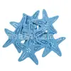Venta caliente al por mayor barato de fábrica comercio electrónico cáscara blanco azul claro azul oscuro estrella de mar concha pez marino virutas de madera decorativas