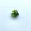 Planta de simulação planta de plástico acessórios para plantas aquáticas grama plana grande com flor de simulação feixe de planta aquática grama decorativa atacado