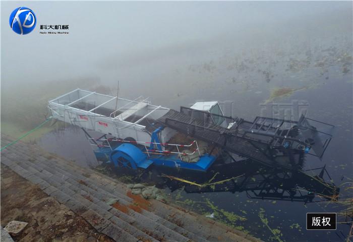 1烟台芦苇收割船 (5).jpg