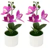 Bestseller transfronterizo de Amazon: Planta artificial de Phalaenopsis en maceta, flores artificiales de magnolia, exhibición de decoración para el hogar