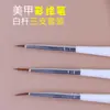 Ferramentas Caneta para Nail Art, Caneta de Fototerapia, Caneta para Pintura, Caneta para Contorno, Caneta de Escultura de Cristal 3D, Caneta para Pintura Francesa de Pétalas, Conjunto de 3 Peças