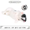 Modelos de Animales Realistas: Doberman, Golden Retriever, Perro de Peluche, Husky, Collie - Adornos para Coche y Juguetes para Niños