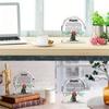 Novos Artesanato de Acrílico em Formato de Árvore para Desktop Mais Vendidos da Amazon para Mães Personalizarem com Fotos