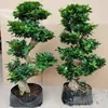 Mudas de Bonsai de Tronco de Árvore Perene de Quatro Estações Plantas de Interior Ginseng Banyan Ficus de Folha Pequena Árvore em Vaso Novo Trigo Artificial Resistente ao Frio Taibo