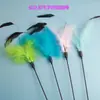Juguetes para Gatos Nuevo Palo Largo Grande Pluma Palo para Molestar Gatos Juguete de Auto-Placer para Gatos Palo para Molestar Gatos Venta al por Mayor Suministros para Mascotas Gatos