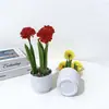 Suministrado Directamente del Fabricante, Piedra Flor de Lluvia Tres Bolas Pequeñas Crisantemo Bonsái Artificial Decoración de Escritorio de Oficina Flor Artificial de Plástico Planta Pequeña en Maceta