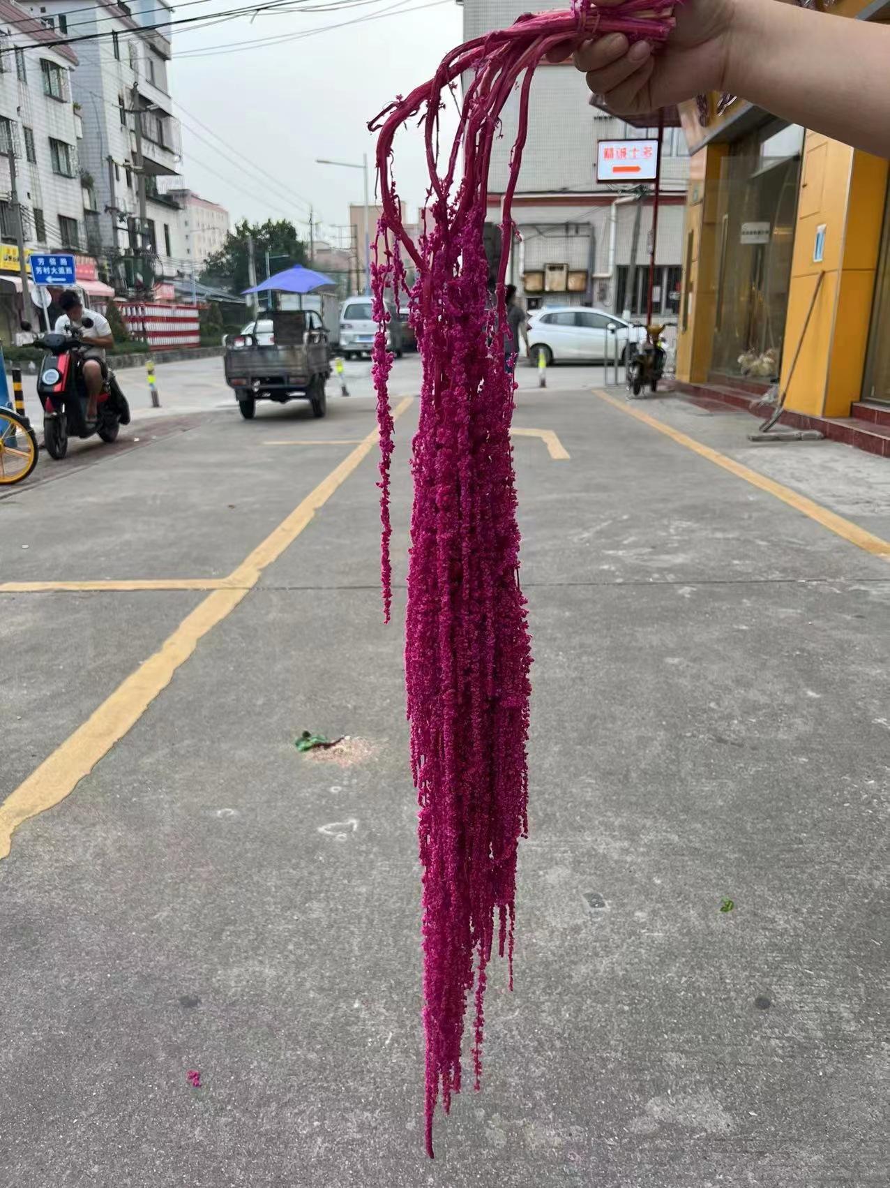 微信图片_20221127133608