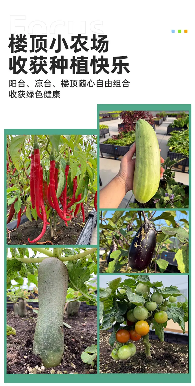 未标题-1_09.jpg
