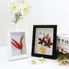Moldura para Foto Criativa DIY Handmade Quilling de Papel Tridimensional Oca 6 7 polegadas A4 A3 Moldura para Foto com Flores Secas Exibição de Espécimes de Plantas Borboletas