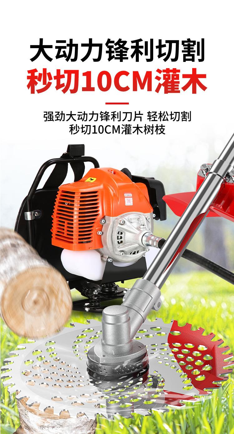 详情图片_07.jpg