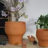 Maceta de barro rojo, cerámica rústica y fresca, maceta estilo coreano, maceta en relieve, transpirable, resistente a altas temperaturas, engrosada, adecuada para jardinería de suculentas