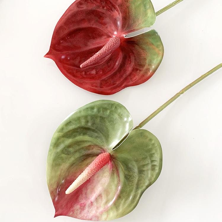 QQ图片20211017181941