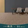 Las alfombras de piso se utilizan para oficinas comerciales de área grande, cubriendo directamente todo el piso de cemento, y también se usan en dormitorios y estudios.