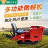 Chengfeng Ride Tractor de Oruga Diésel Micro-Rotocultivador Pequeño Tractor para Jardín de Té Máquina de Fertilización Trickering Manejo de Huertos