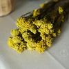 Cor da flor de arroz eterna - flor de arroz absorvente de cor - flor seca - flor de nuvem - buquê de flores secas naturais - fábrica de Yunnan - atacado