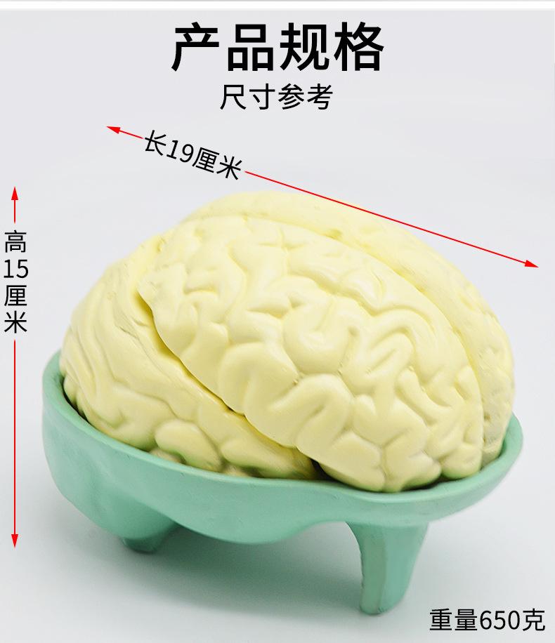 详情_03.jpg
