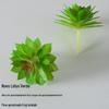Suculentas Simuladas Cuidadosamente Selecionadas, Decorações de Plantas Verdes, Combinação de Mini Ornamentos de Cacto, Bonsai de Vaso de Suculentas