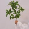 Ma Zui Simulação de madeira Japonês verde planta folha modelo casa varanda varanda plantas decorativas flores falsas foto adereços atacado