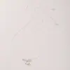 Collar de Estrella de Cuatro Puntas Incrustada con Diamante de Plata s925 para Mujer Simple Moda Lujo Ligero Gama Alta Exquisito Versátil Cadena para Clavícula 1466G