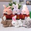 Múltiples Tipos de Llaveros de Muñeco de Peluche de Dibujos Animados, Llaveros Mixtos de Ovejas Lindas, Suministro al por Mayor para Ceremonias de Apertura y Recuerdos de Boda