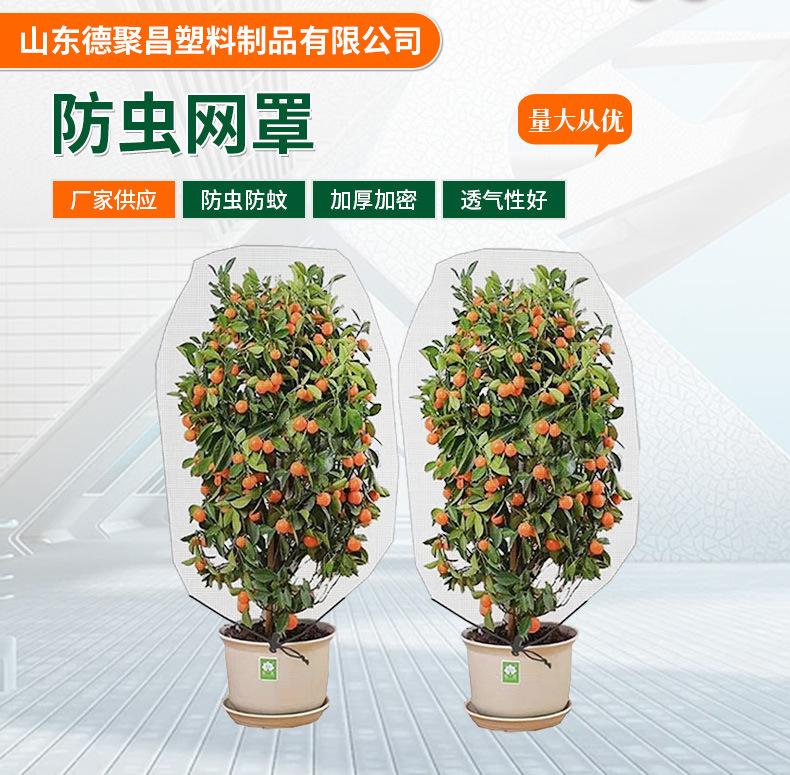 详情页1_02.jpg