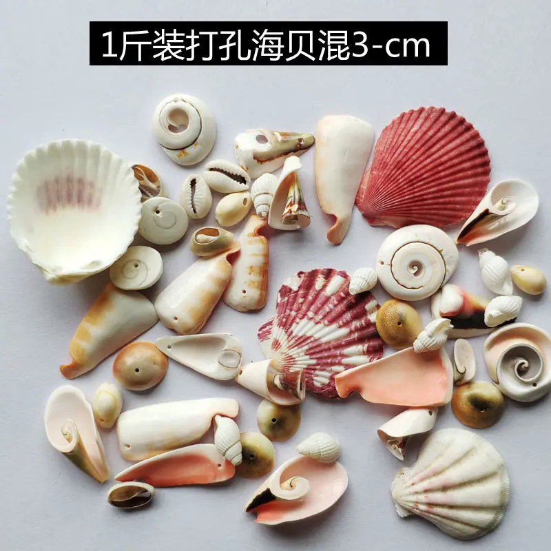 1斤装打孔海贝混
