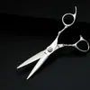Set de Tijeras de Peluquería Herramientas Acero Inoxidable 6.5 pulgadas Estilismo Capilar Transfronterizo Corte Comercio Exterior