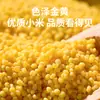 Mijo Orgánico Yitian 1.1kg g Jinmiao K1 Mijo Amarillo Cosecha Nueva Granos Genuinos de Alta Calidad Nutritivo Gachas de Mijo