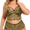 Nuevo Conjunto Sexy de Dos Piezas Transfronterizo Europeo y Americano, Popular en Amazon, Conjunto de Pijama de Encaje Moderno y Cómodo al por Mayor