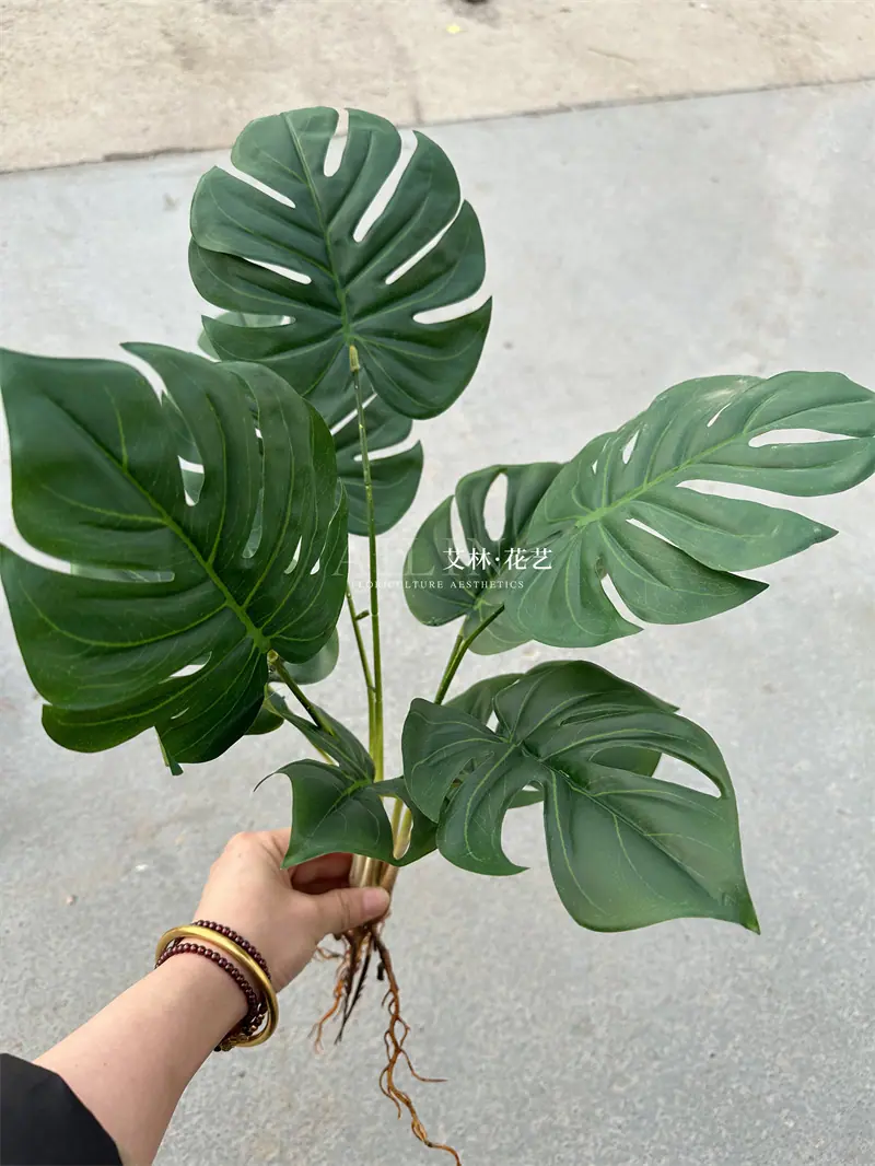 9叉绿植