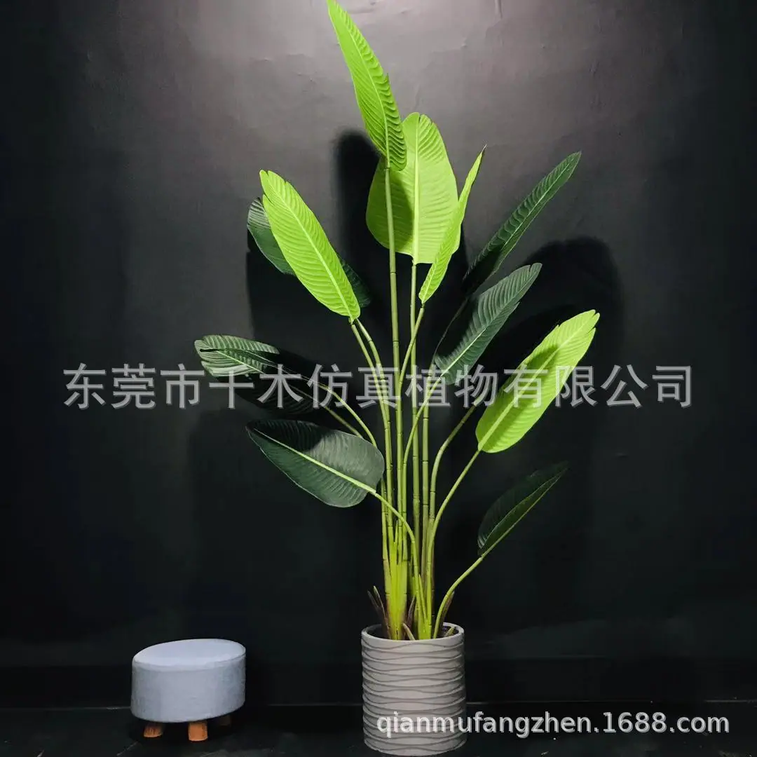 微信图片_2019081919454125