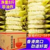 Hojas de Fideos Instantáneos No Fritos, Fideos Instantáneos a Granel, Fideos Instantáneos para Hot Pot, Fideos Salteados Empacados Individualmente, Caja Completa al Por Mayor para Uso Comercial