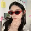 Óculos de Sol Gatinho Retrô para Mulheres Gatinho 2024 Novos de Alta Qualidade para Celebridades da Internet Óculos de Sol Anti-UV para Rostos Quadrados e Redondos