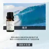 Fabricante de Fuente de Aromaterapia Aceite Esencial de Aromaterapia Soluble en Agua 10 ml Fragancia Vegetal L Difusor Ambientador Máquina de Aromaterapia Aceite Esencial