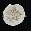 ABS Dorado Perlado Estampado de Estrellas de Mar Irregulares Cadena de Teléfono de Pulsera DIY Colgante para Coche Accesorios al por Mayor