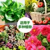 Solução nutritiva concentrada universal para jardinagem caseira, adequada para plantas verdes, flores, vegetais e cultivo hidropônico; promove o crescimento das raízes e fortalece as mudas; 500 ml