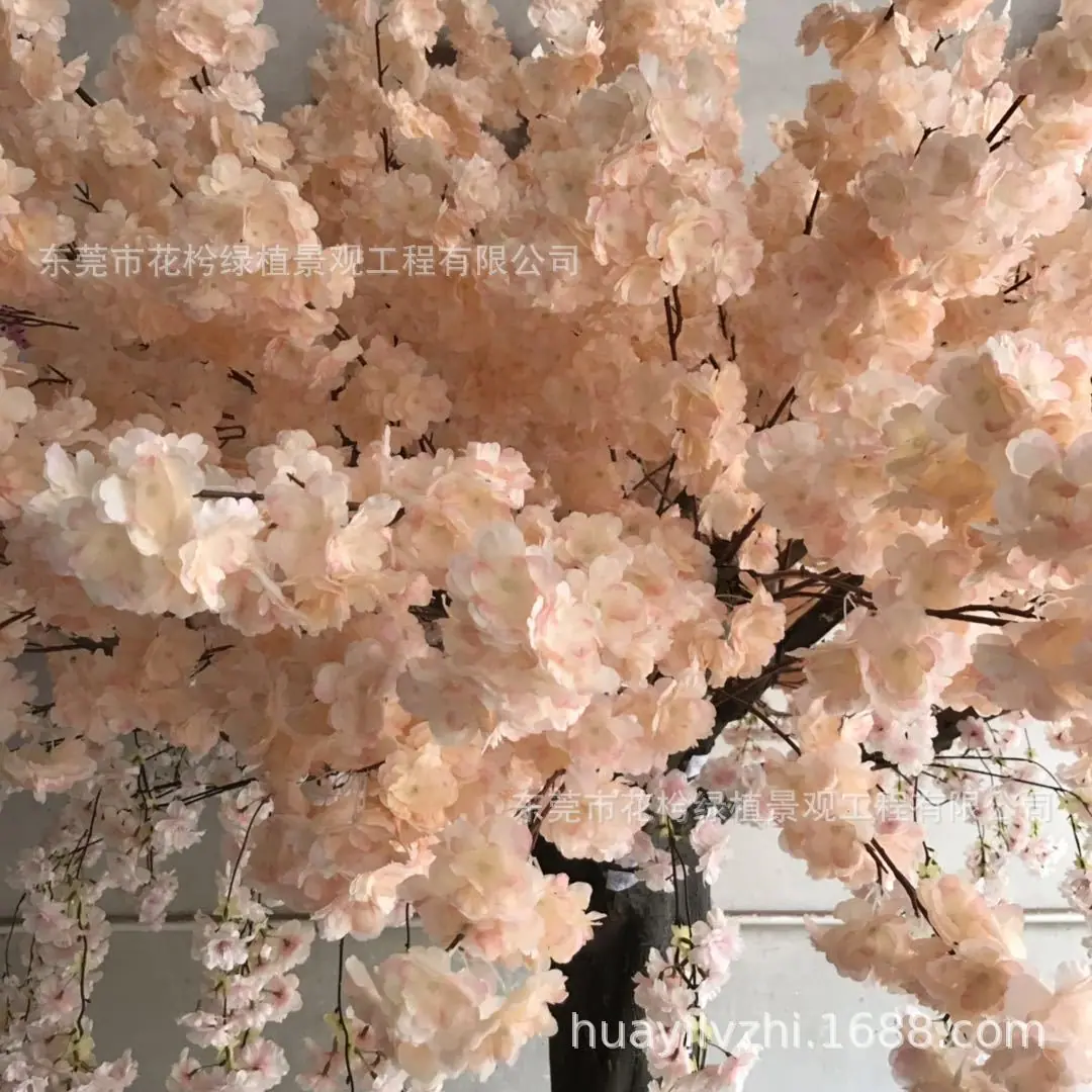 图片_201903192006084