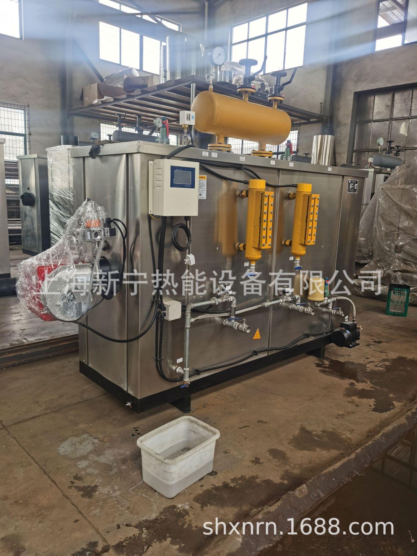 新宁燃油燃气蒸汽发生器 (10).jpg