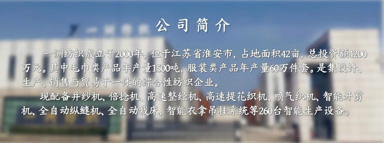 公司简介