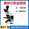Agente de Primera Clase Olympus Microscopio cx23 Olympus Microscopio Visual de Objetos Metalográficos Positivos en Stock